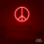 Neon Led Paz - loja online