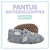 Pantus Antideslizantes Gatitos