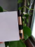 BLOCO ECOLÓGICO PARA ANOTAÇÕES | PERSONALIZADO - comprar online