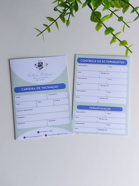 CADERNETA DE VACINAÇÃO | 15X20 | PERSONALIZADO