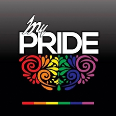 Charola 24 latas Cerveza My Pride en internet