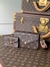 Bolsa LOUIS VUITTON Félicie Strap & Go