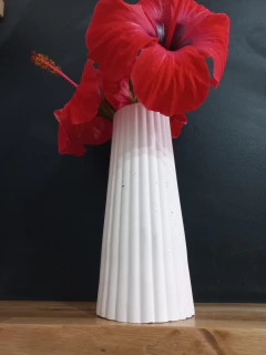 Florero Anto Rosa en internet