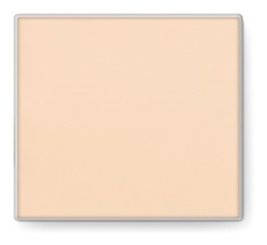 Imagen de Maquillaje en Polvo Traslúcido Mineral Mary Kay®