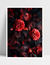 Quadro Flores Ciganas - Painel