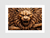 Quadro Lion Wood
