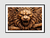 Imagem do Quadro Lion Wood
