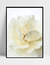 Imagem do Quadro Flor Quente