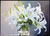 Quadro Lily Bouquet