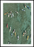 Quadro Surf Drone