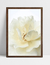 Quadro Flor Quente - loja online