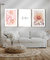 Composição Kit 3 Quadros - Love e Dupla Rosé