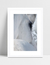 Quadro Cavalo - Close Up - loja online