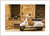 Quadro Motocicleta Branca - Retrô - comprar online