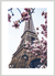 Quadro Torre Eiffel - Paris - comprar online