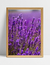 Imagem do Quadro Lavanda I