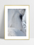 Imagem do Quadro Cavalo - Close Up