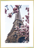 Quadro Torre Eiffel - Paris - comprar online