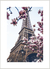Quadro Torre Eiffel - Paris