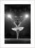 Quadro Bailarina no Palco