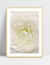 Quadro Nuance - Flor - comprar online