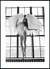 Imagem do Quadro Asas de Bailarina II