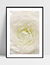 Imagem do Quadro Nuance - Flor