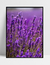 Quadro Lavanda I - comprar online