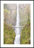 Imagem do Quadro Ponte de Benson - Oregon