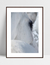 Quadro Cavalo - Close Up - loja online