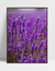 Quadro Lavanda I - loja online