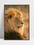Quadro Leão Nature - loja online