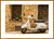 Quadro Motocicleta Branca - Retrô - Ella Quadros