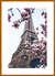 Quadro Torre Eiffel - Paris - Ella Quadros