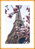 Quadro Torre Eiffel - Paris na internet