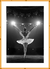 Quadro Bailarina no Palco na internet