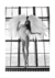 Quadro Asas de Bailarina II - Ella Quadros