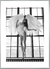 Quadro Asas de Bailarina II na internet