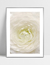 Quadro Nuance - Flor - loja online