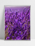 Quadro Lavanda II