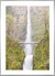 Quadro Ponte de Benson - Oregon na internet