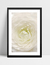 Quadro Nuance - Flor - comprar online