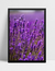 Quadro Lavanda I - Ella Quadros
