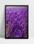 Quadro Lavanda II - Ella Quadros