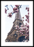 Quadro Torre Eiffel - Paris