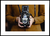 Quadro Máquina Fotográfica - Retrô
