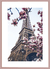 Quadro Torre Eiffel - Paris - loja online