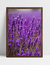 Quadro Lavanda I