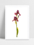 Quadro Orquídea Rosé na internet