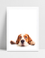 Quadro Pastor Beagle na internet